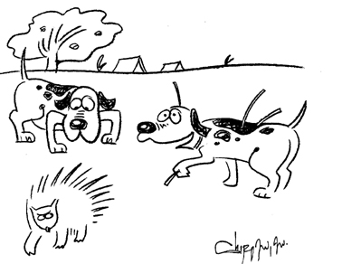 cartoon